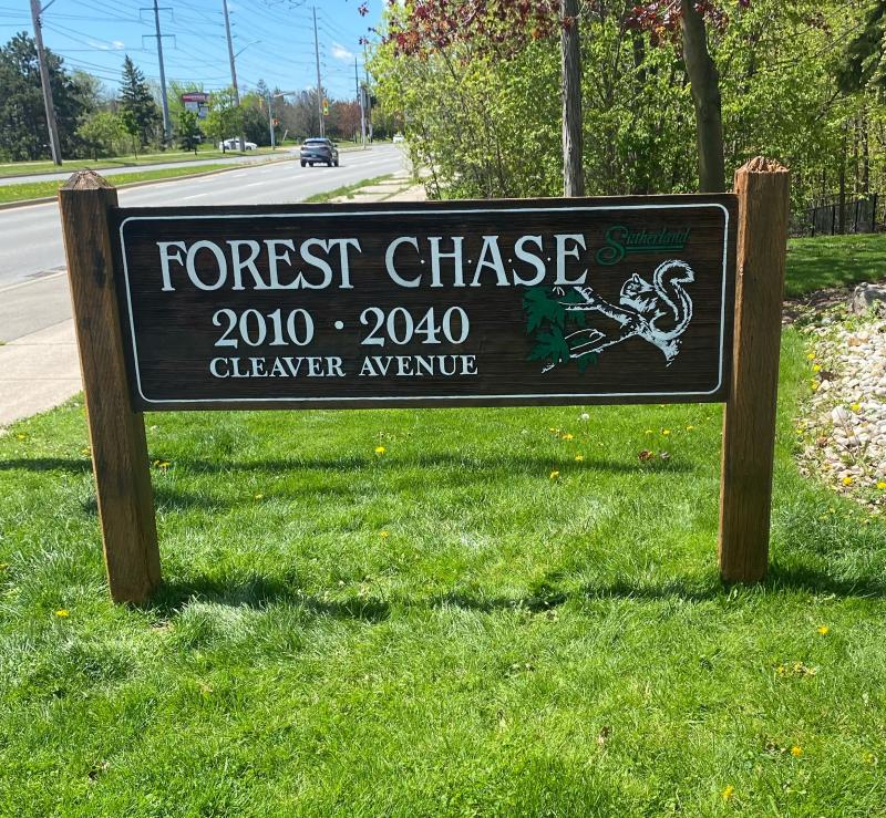 A Before & After Picture